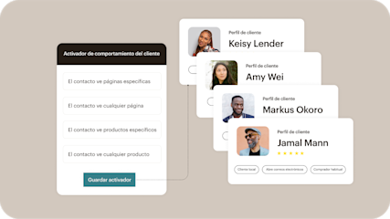 Panel de control que muestra los perfiles de clientes y las herramientas de segmentación de público de Mailchimp para campañas de marketing.